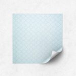 Dazzling-Koa-blue-raceer