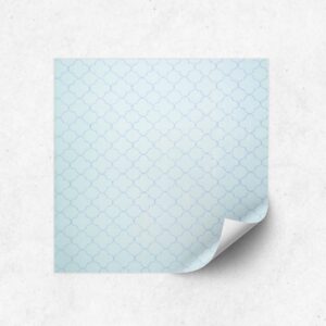 Dazzling-Koa-blue-raceer