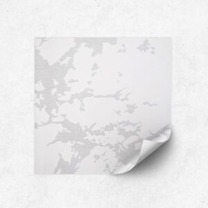 Estilos-Magno-Antartida