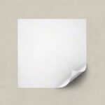 Estilos-Tenue-Satin-moth