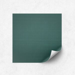 Simple-Stone-viridian